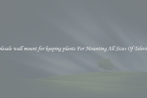 Wholesale wall mount for keeping plants For Mounting All Sizes Of Televisions