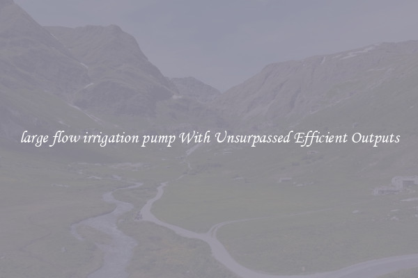 large flow irrigation pump With Unsurpassed Efficient Outputs