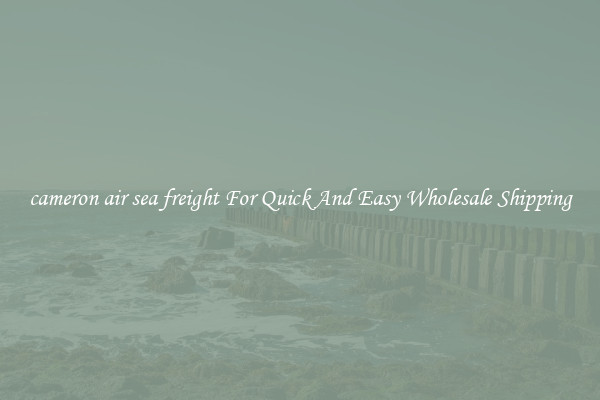 cameron air sea freight For Quick And Easy Wholesale Shipping