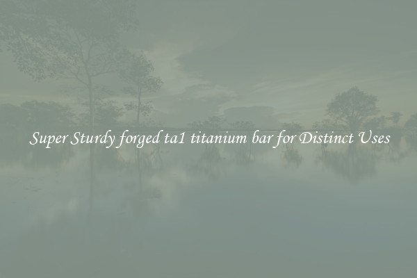 Super Sturdy forged ta1 titanium bar for Distinct Uses