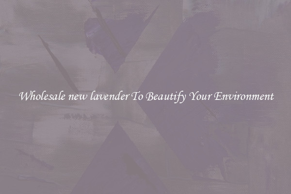 Wholesale new lavender To Beautify Your Environment