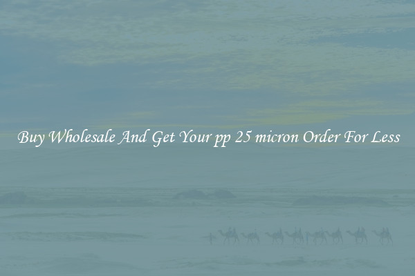Buy Wholesale And Get Your pp 25 micron Order For Less