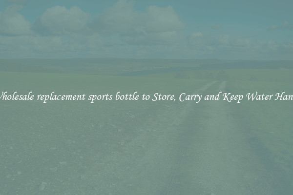 Wholesale replacement sports bottle to Store, Carry and Keep Water Handy
