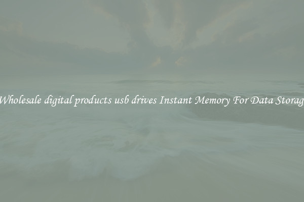 Wholesale digital products usb drives Instant Memory For Data Storage