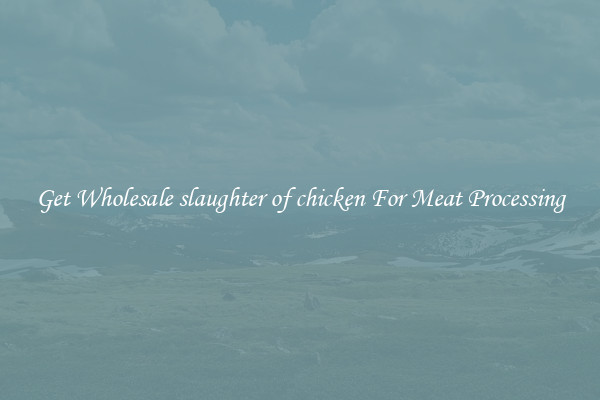 Get Wholesale slaughter of chicken For Meat Processing