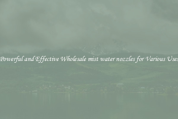 Powerful and Effective Wholesale mist water nozzles for Various Uses
