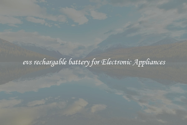 evs rechargable battery for Electronic Appliances