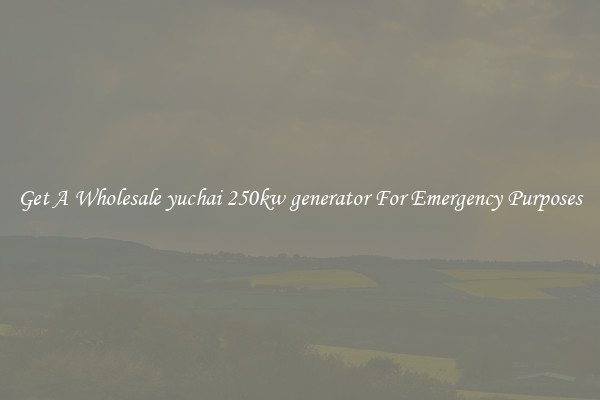 Get A Wholesale yuchai 250kw generator For Emergency Purposes
