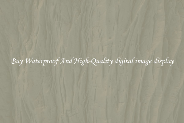 Buy Waterproof And High-Quality digital image display