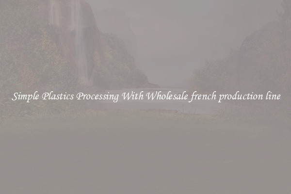 Simple Plastics Processing With Wholesale french production line