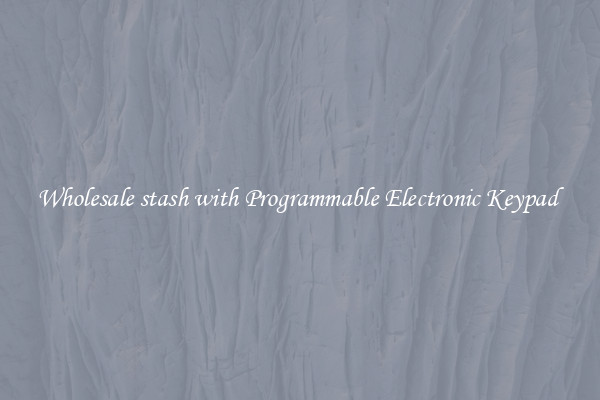 Wholesale stash with Programmable Electronic Keypad 