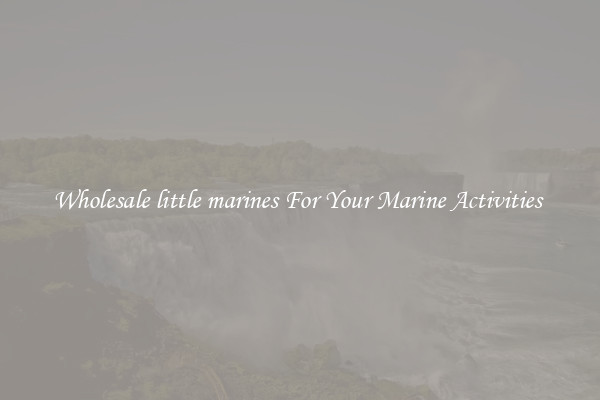 Wholesale little marines For Your Marine Activities 