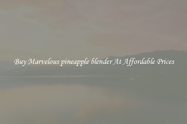 Buy Marvelous pineapple blender At Affordable Prices