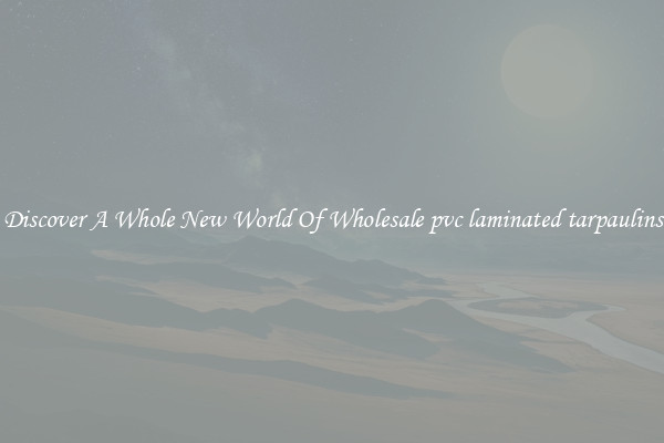 Discover A Whole New World Of Wholesale pvc laminated tarpaulins