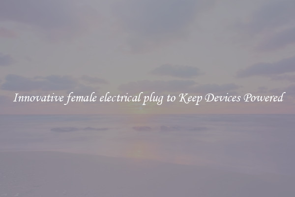 Innovative female electrical plug to Keep Devices Powered