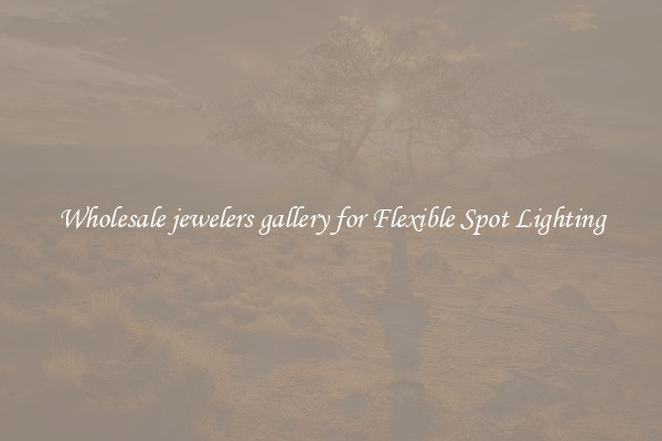 Wholesale jewelers gallery for Flexible Spot Lighting