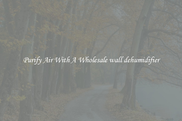 Purify Air With A Wholesale wall dehumidifier