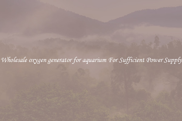 Wholesale oxygen generator for aquarium For Sufficient Power Supply