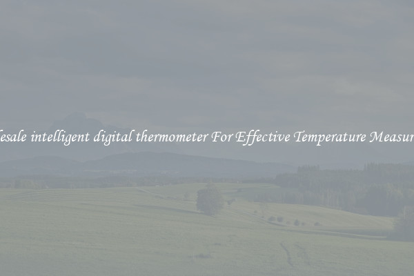 Wholesale intelligent digital thermometer For Effective Temperature Measurement