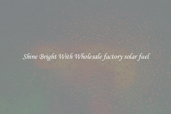 Shine Bright With Wholesale factory solar fuel