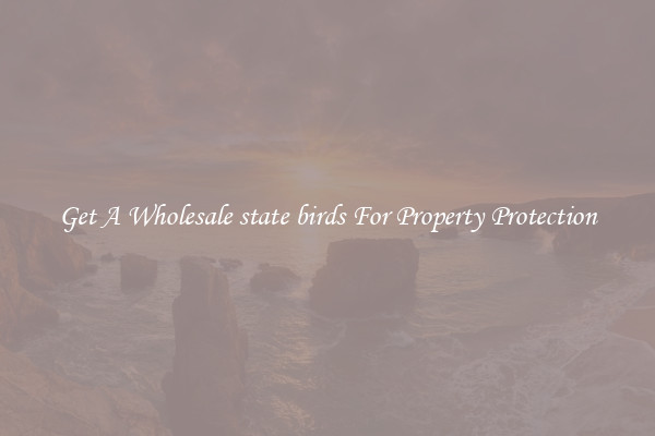Get A Wholesale state birds For Property Protection