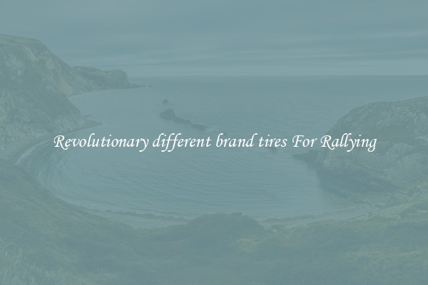 Revolutionary different brand tires For Rallying
