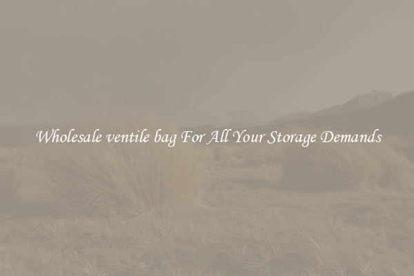 Wholesale ventile bag For All Your Storage Demands