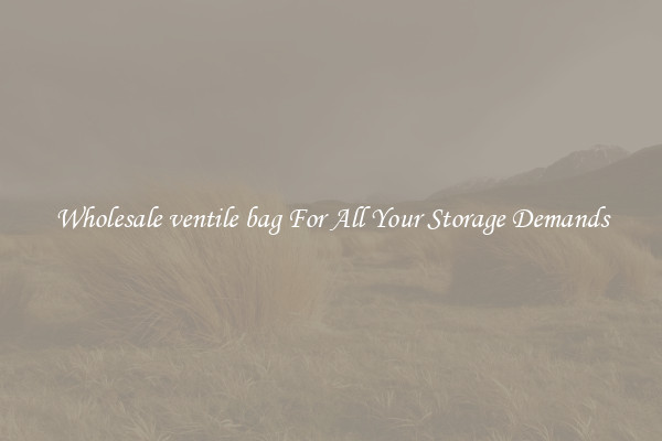 Wholesale ventile bag For All Your Storage Demands