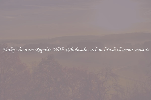 Make Vacuum Repairs With Wholesale carbon brush cleaners motors