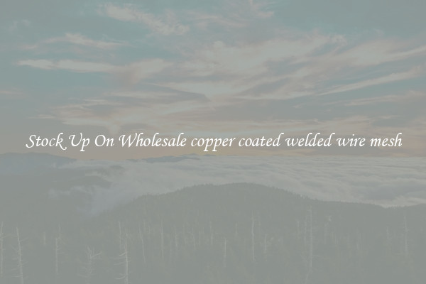 Stock Up On Wholesale copper coated welded wire mesh